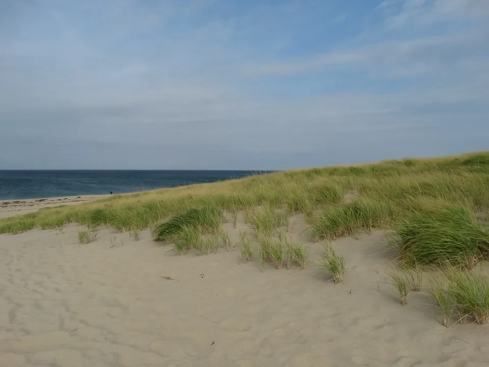 Una spiaggia sabbiosa con erba bassa e bagnata si estende verso il mare sotto un cielo azzurro.