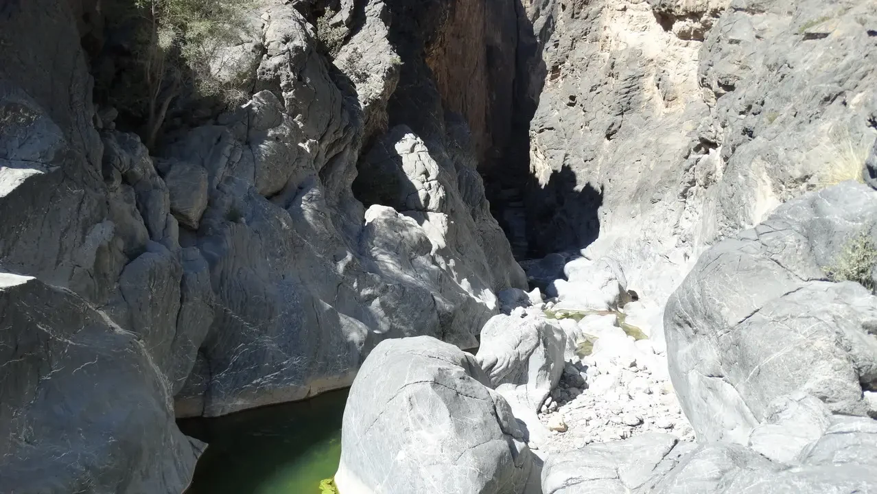 Un paesaggio roccioso e un fiume verde scorrono attraverso una gola nella Wadi Bani Awf, Oman.