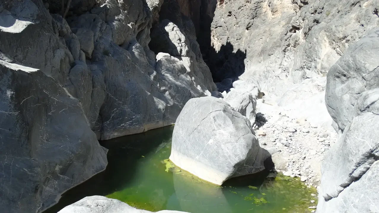Un corso d'acqua verde scorre tra rocce rocciose nel Wadi Bani Awf in Oman.
