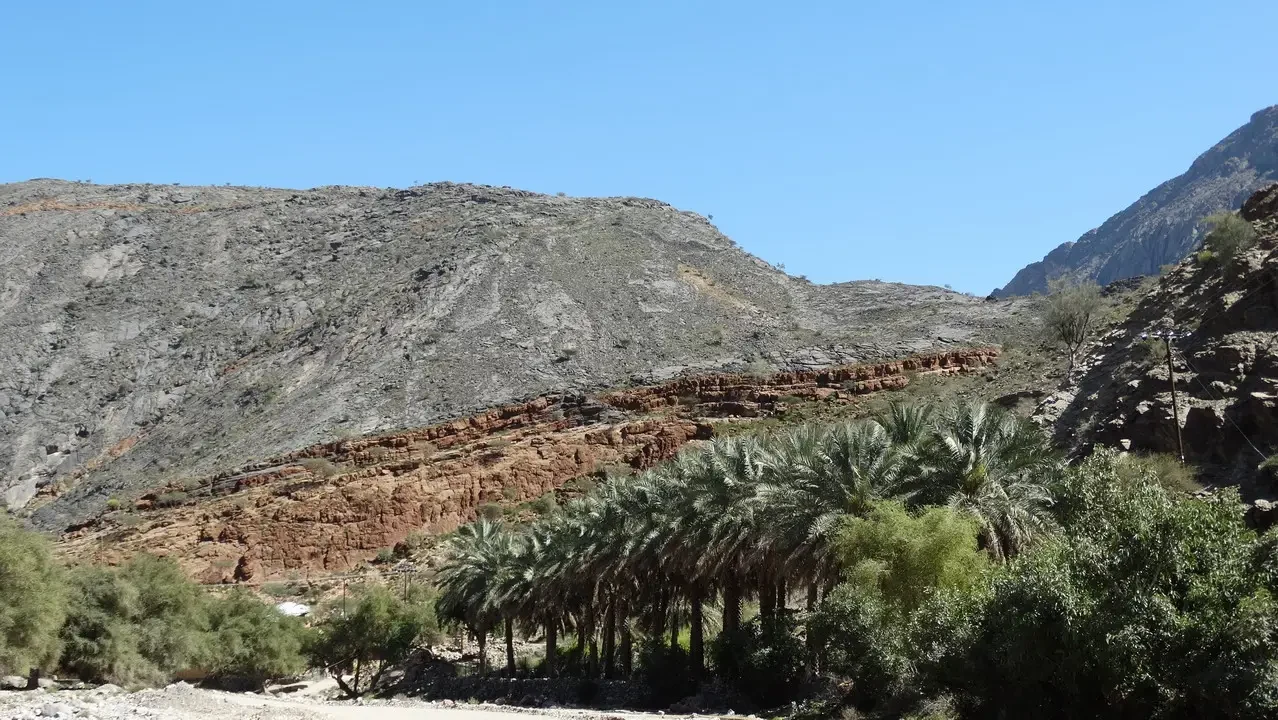 Paesaggio montano arido con vegetazione lussureggiante in primo piano.