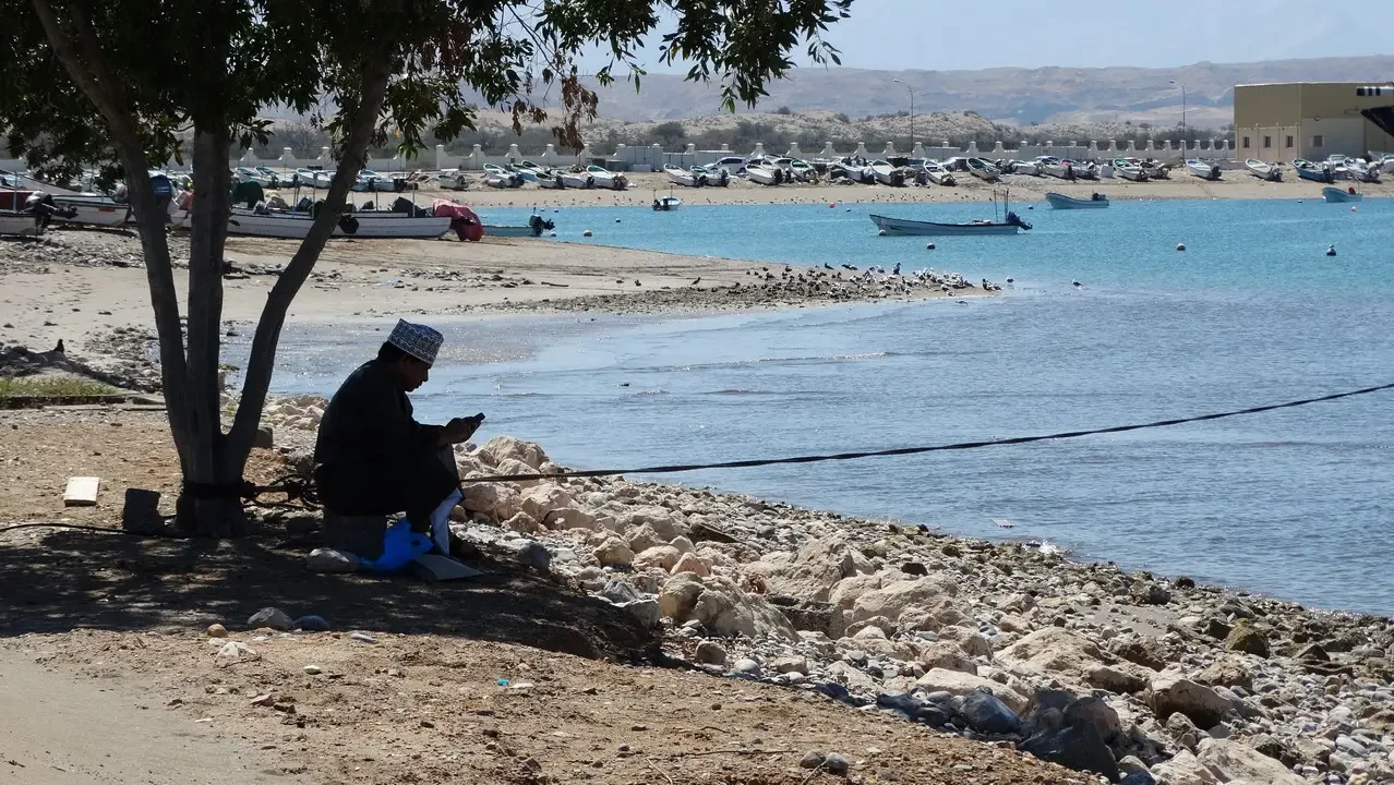 Una veduta della costa con acqua azzurra e terra secca sotto alberi.