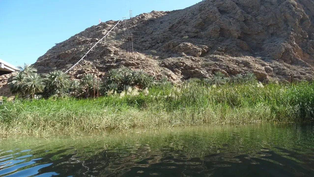 Paesaggio di colline rocciose e acqua con vegetazione lussureggiante in primo piano.