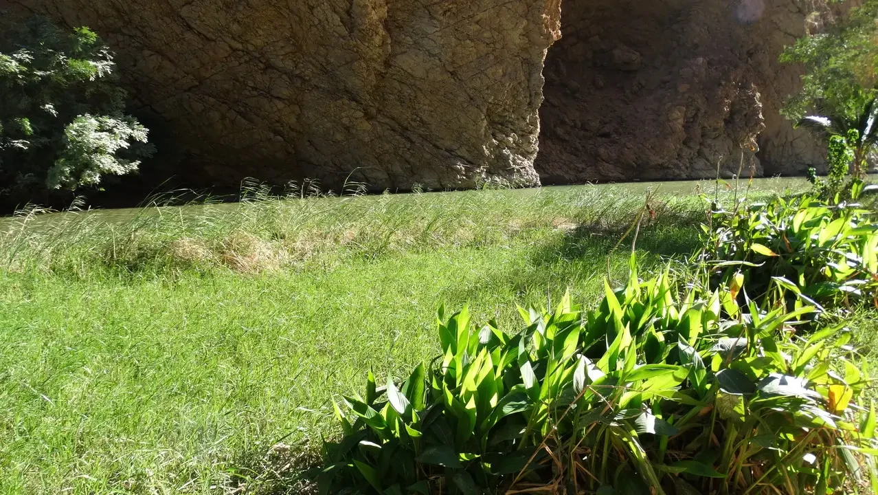 Paesaggio verde con formazioni rocciose naturali in primo piano.