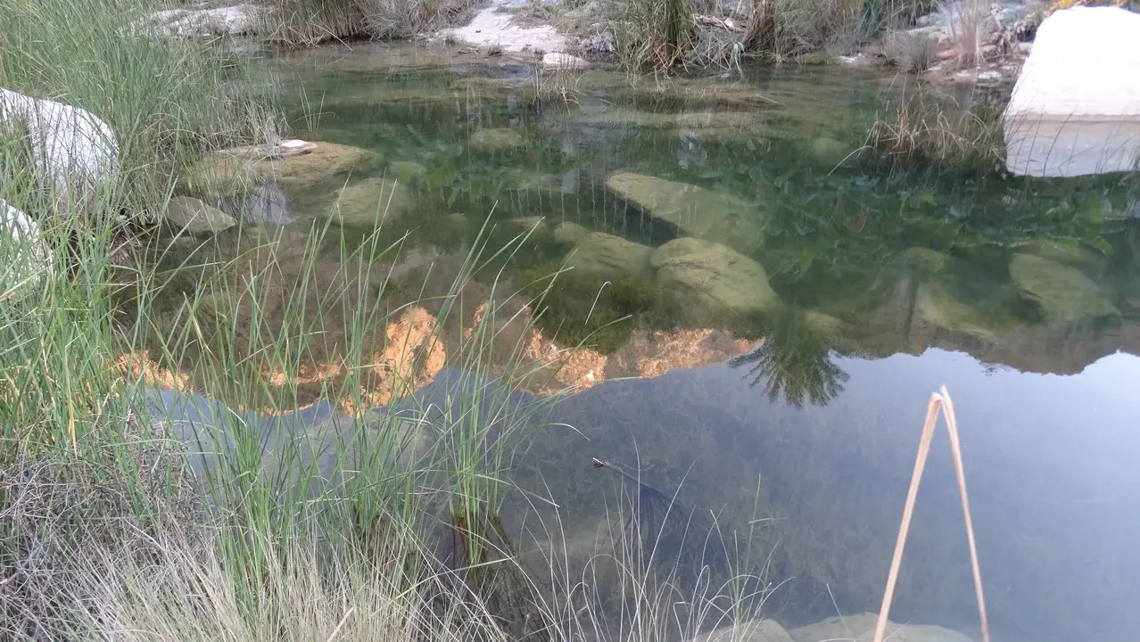 Un ruscello sereno scorre attraverso un paesaggio arido con vegetazione palustre. Un ruscello sereno scorre attraverso un paesaggio arido con vegetazione palustre.