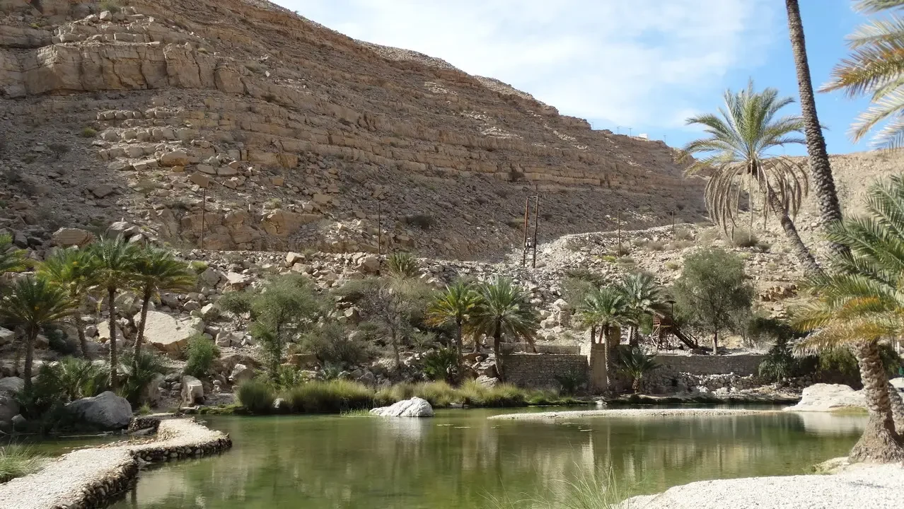 Un fiume serpeggiante scorre attraverso un paesaggio roccioso e desertico con palme lungo la riva.