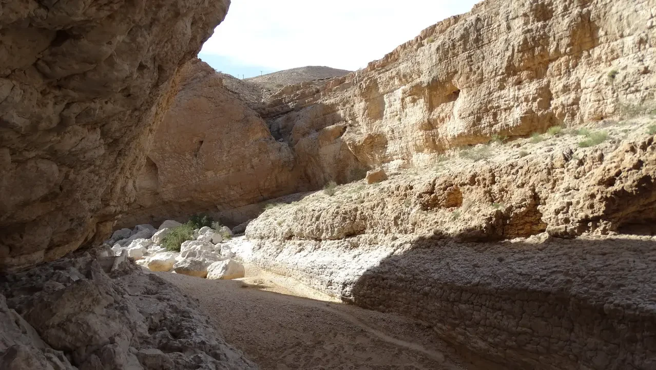 Paesaggio arido di un wadi roccioso e sabbioso sotto la luce del sole.