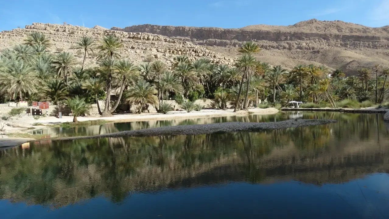 Una vista panoramica di una valle con palme e acqua sotto un cielo soleggiato in Oman o Emirati Arabi Uniti.