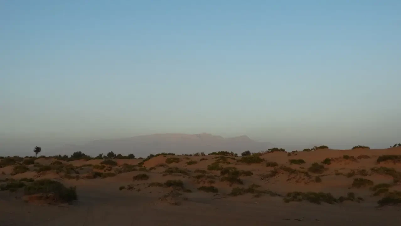 Dune sabbiose del deserto sotto un cielo all'alba in Oman o Emirati Arabi Uniti.