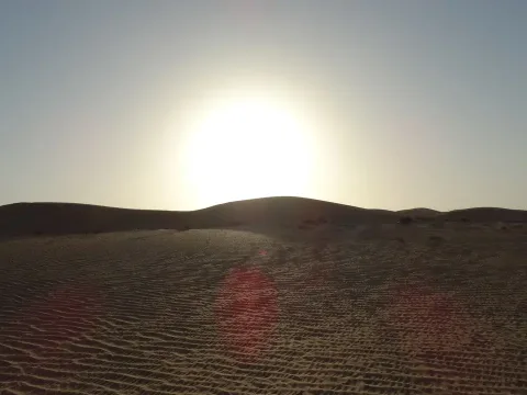 Day 4