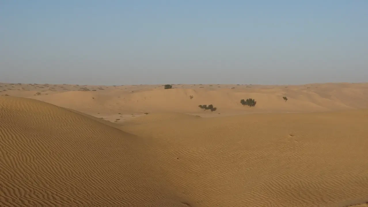 Dune dorate si estendono sotto un cielo limpido in Oman o Emirati Arabi Uniti.