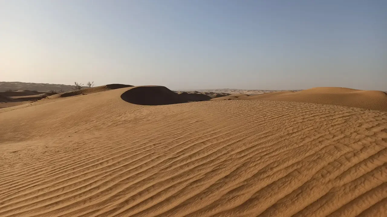 Dune dorate si estendono sotto un cielo chiaro nel deserto. Dune dorate si estendono sotto un cielo chiaro nel deserto.