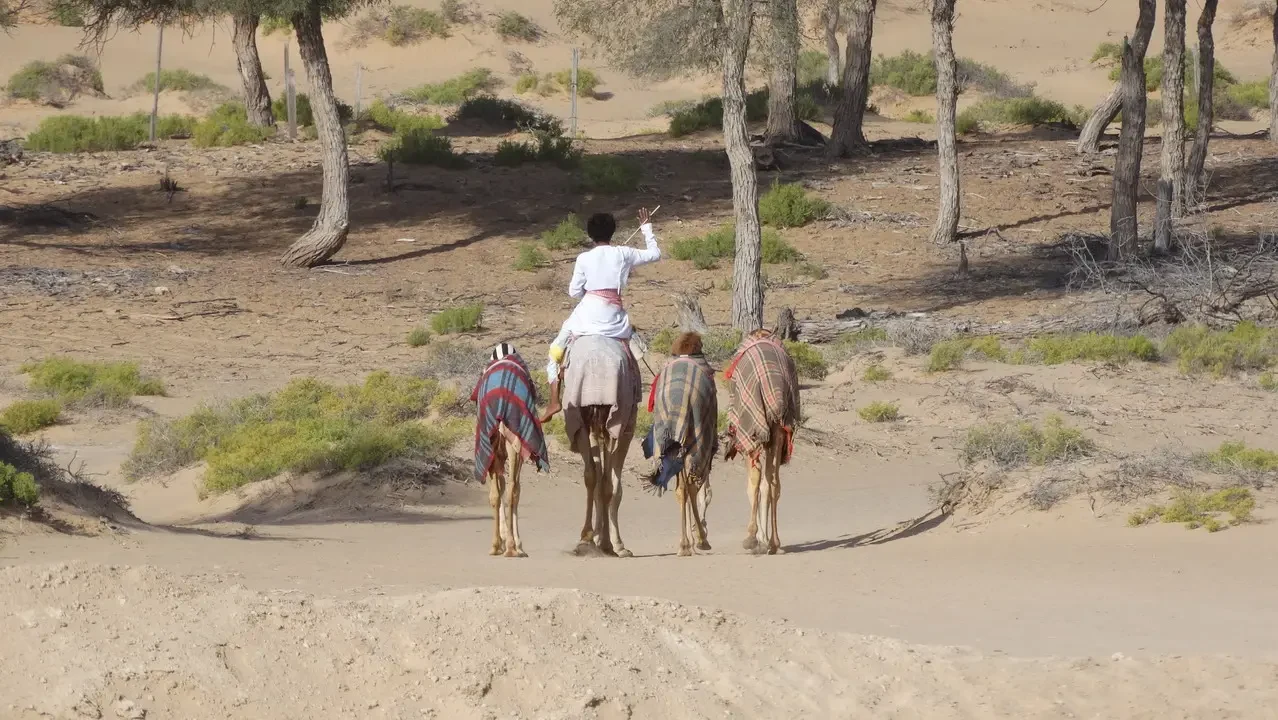 Cavalieri attraversano un paesaggio desertico con alberi sparsi.