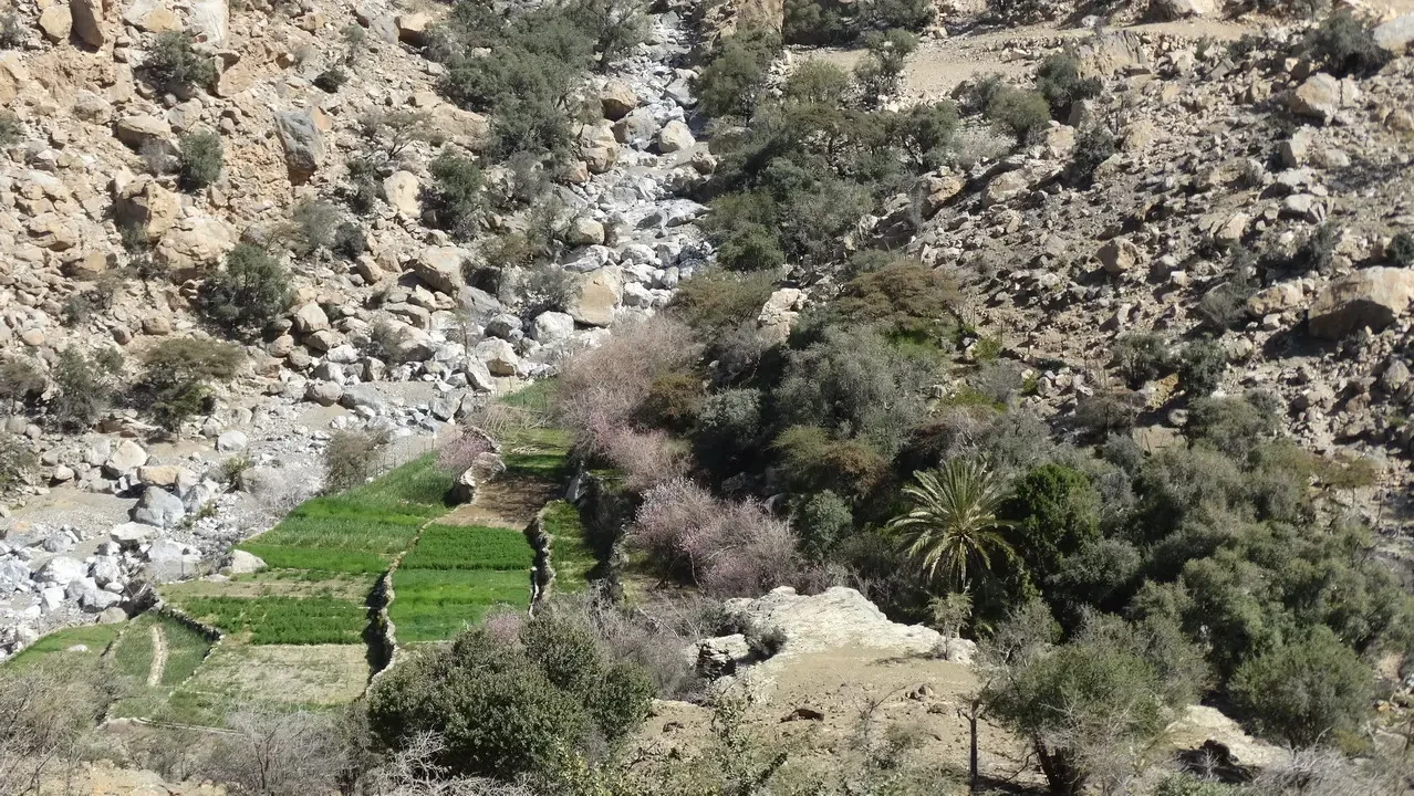 Paesaggio arido con un letto di fiume che scorre tra rocce e vegetazione secca.