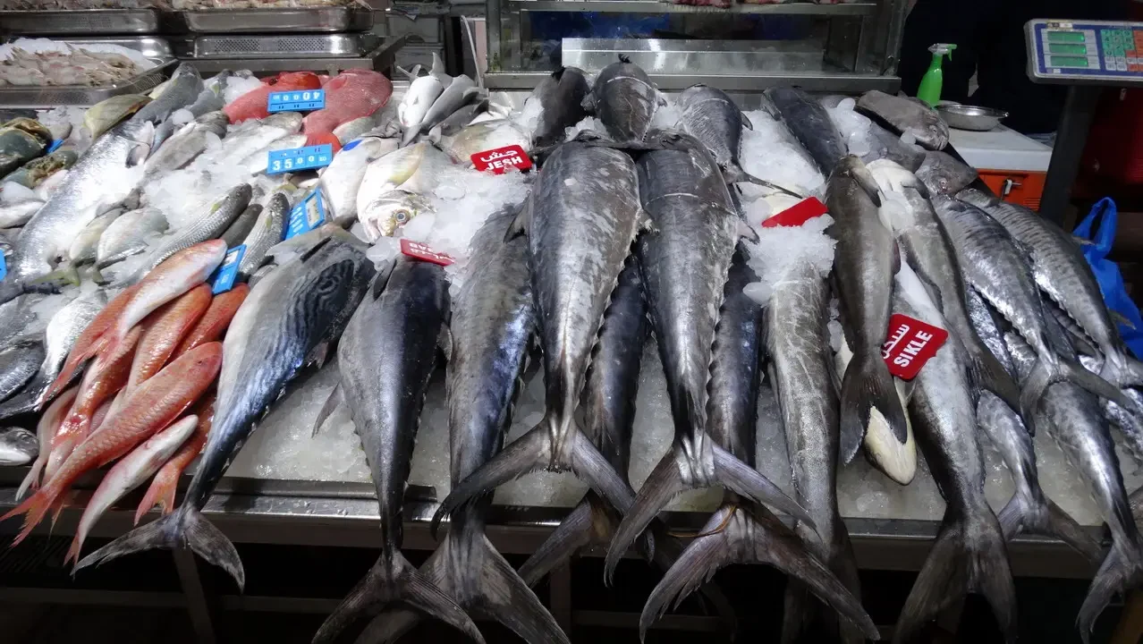 Pesci freschi esposti in un mercato ittico.