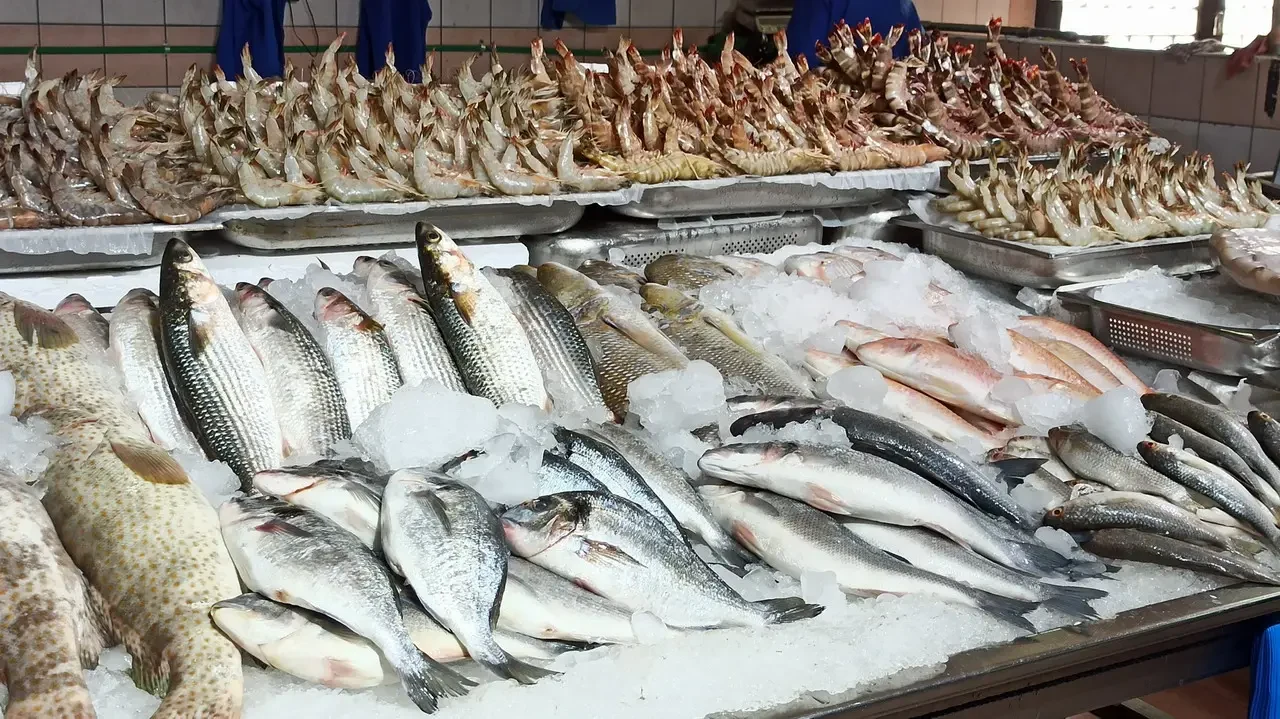 Pesci freschi esposti in un mercato ittico.