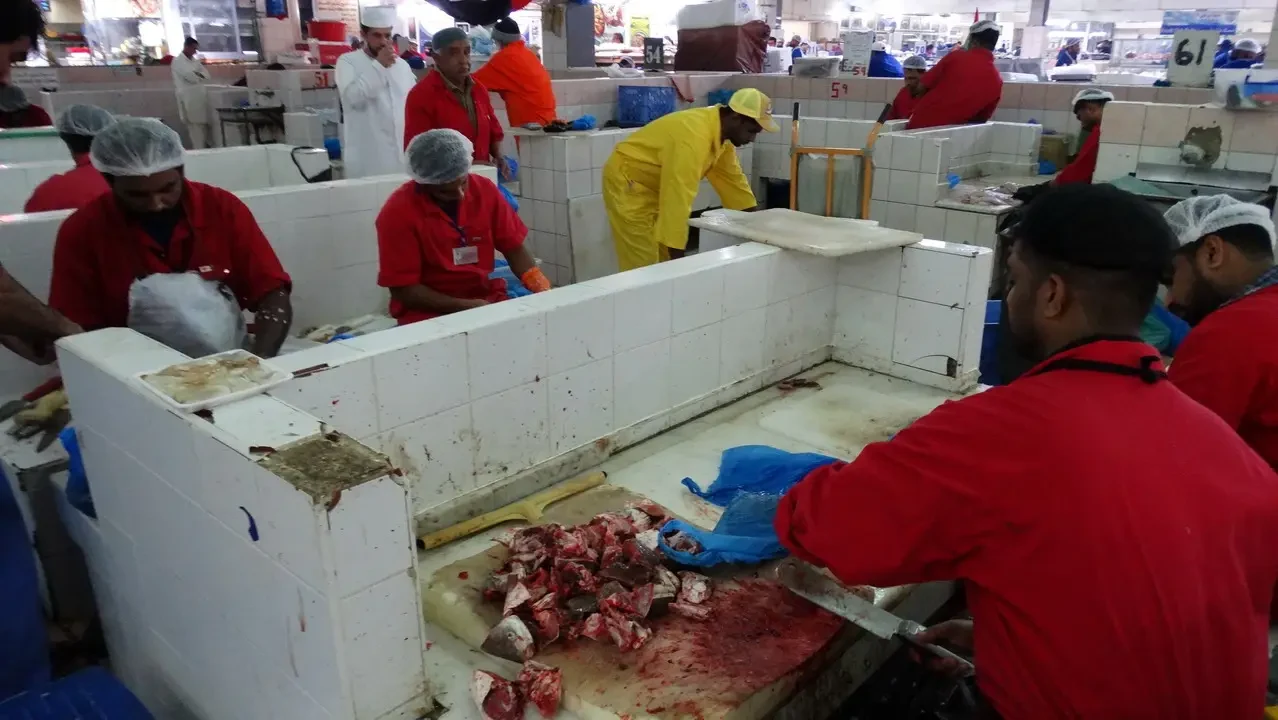 Fish market scene in Abu Dhabi, Oman or United Arab Emirates.