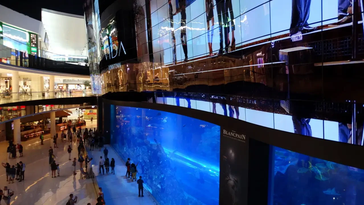 Interno di un acquario moderno con grandi vetrate che mostrano la vita marina.