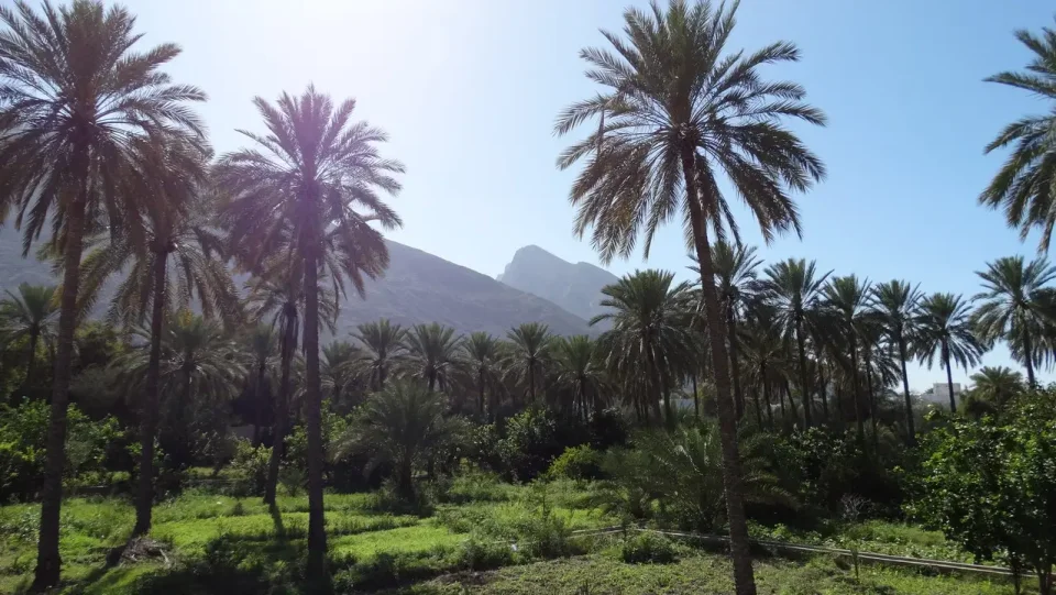 Oman e Emirates