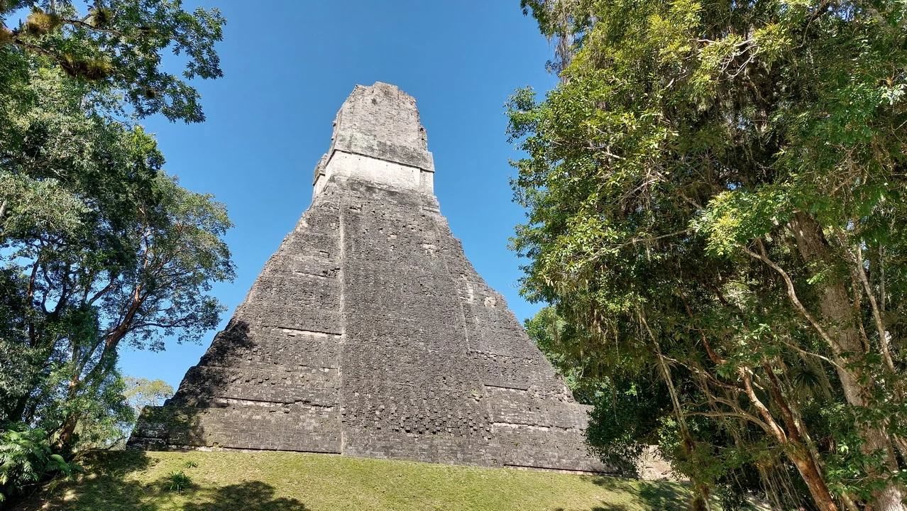 La piramide di Tikal è vista attraverso la vegetazione lussureggiante. La piramide di Tikal è vista attraverso la vegetazione lussureggiante.