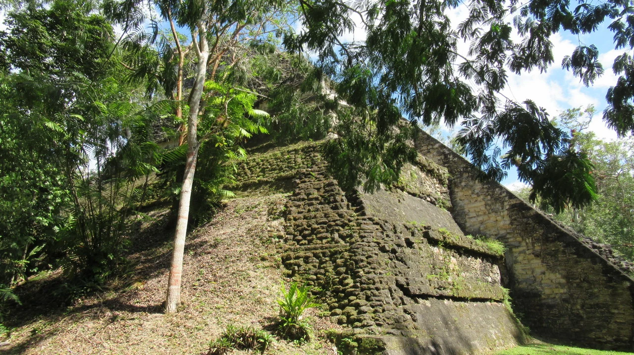 Muro antico di una struttura in pietra circondata dalla vegetazione.