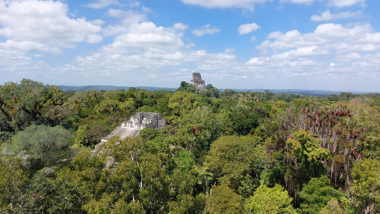 Le rovine della città antica di Tikal si stagliano tra la vegetazione lussureggiante.