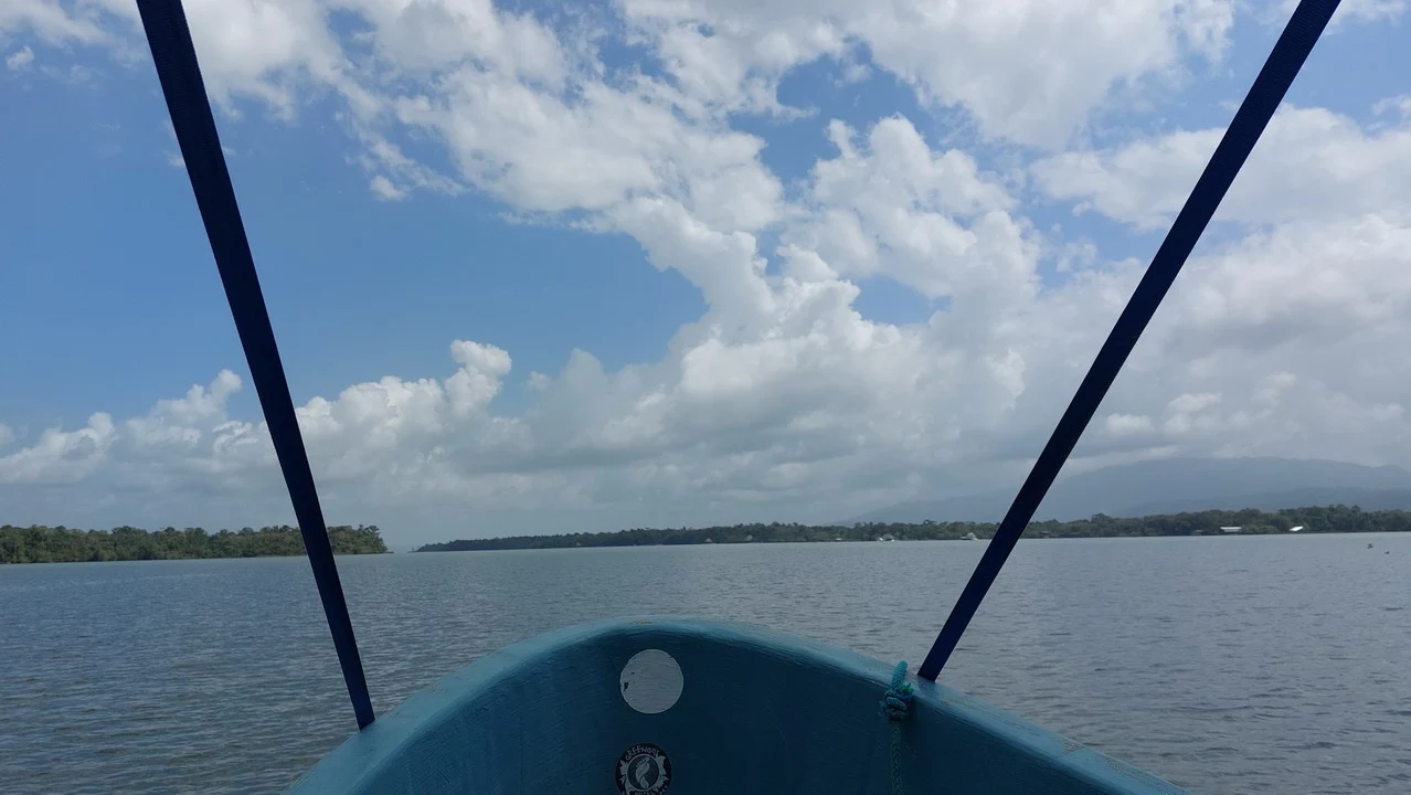 Vista dal fiume da una barca in America Centrale.