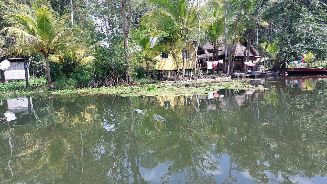 Una casa in legno si riflette sull'acqua calma tra la vegetazione lussureggiante.