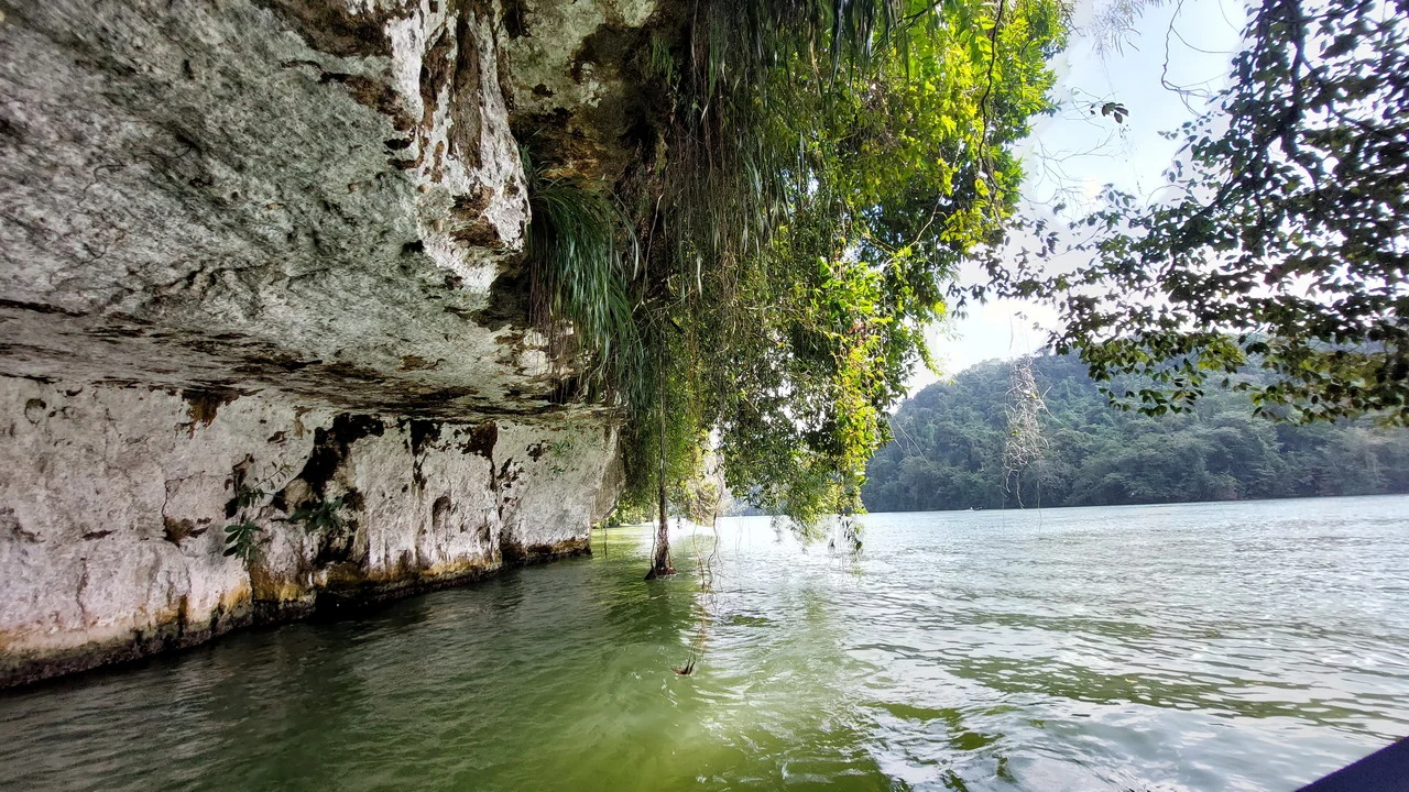 Paesaggio fluviale con rocce chiare e vegetazione lussureggiante lungo la riva. Paesaggio fluviale con rocce chiare e vegetazione lussureggiante lungo la riva.