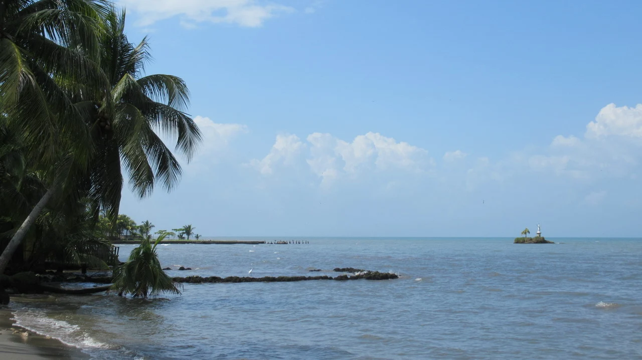 Palme e una linea di terra bagnata si estendono verso il mare aperto.