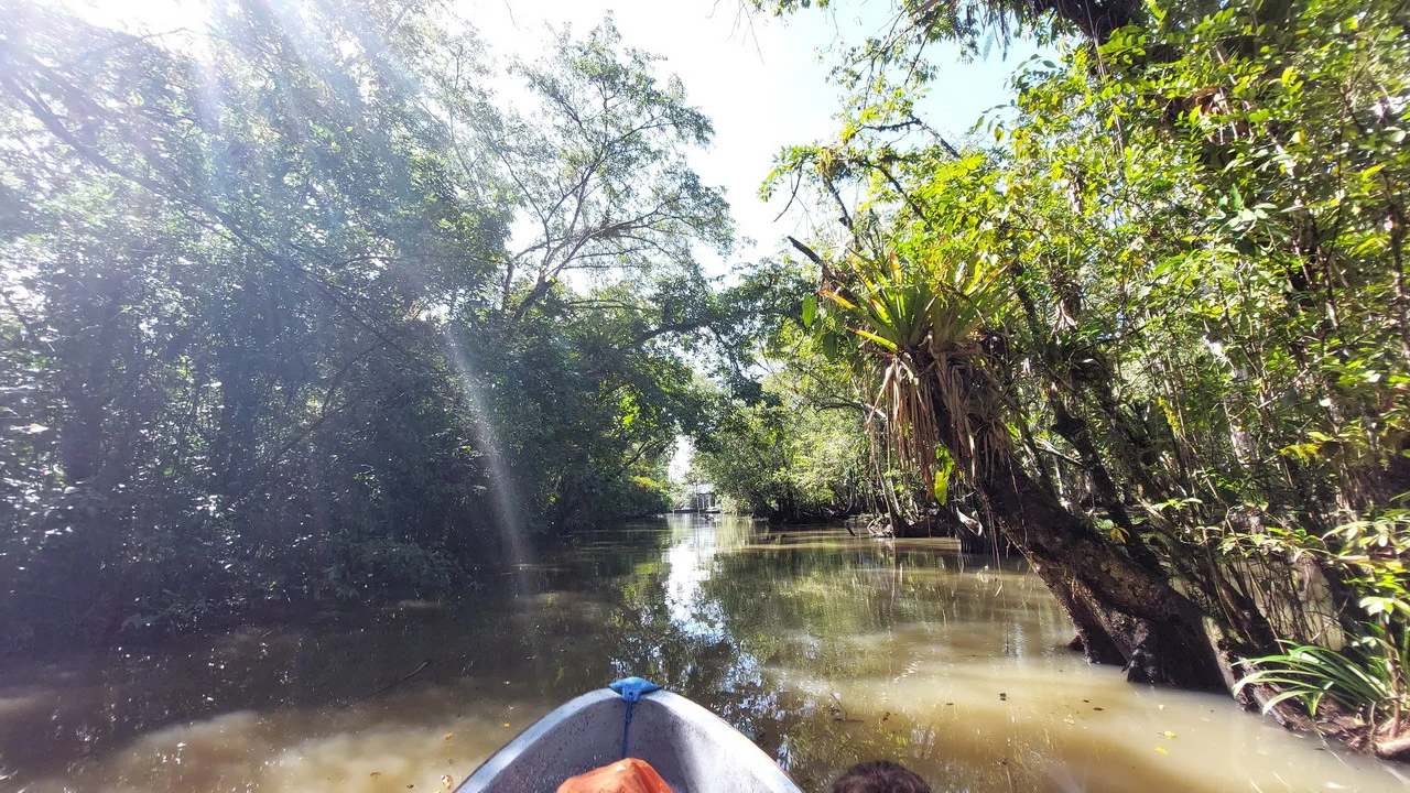 Un canoa naviga lungo un fiume verdeggiante in America Centrale.