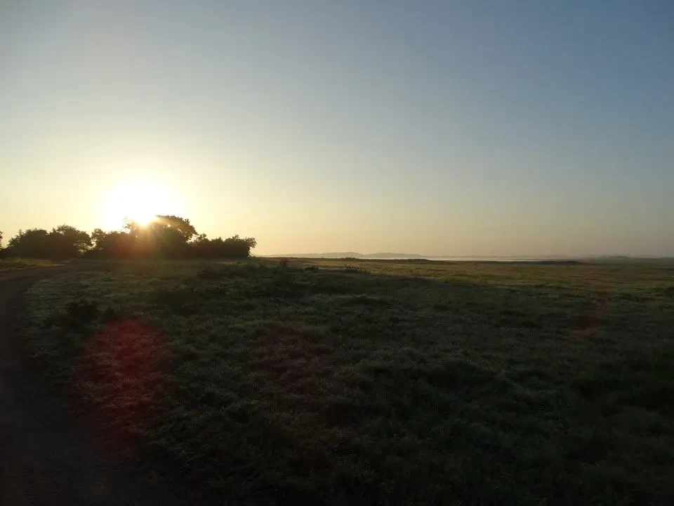 Alba sopra un campo erboso in Sri Lanka.