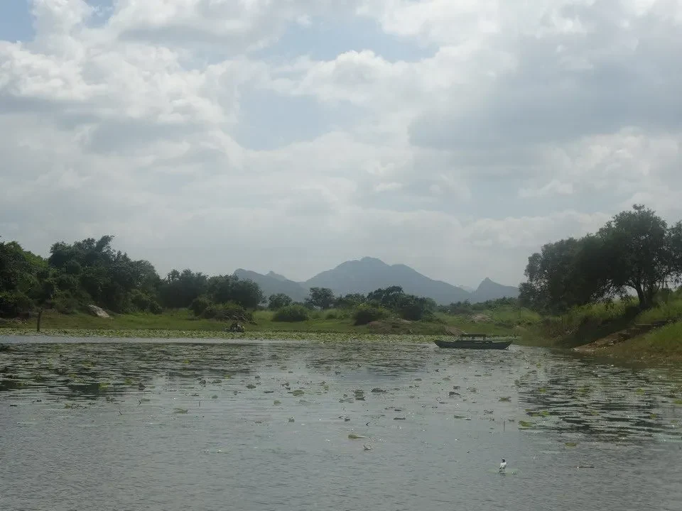 Crossing of the Sigiriya lake in Sri Lanka with a boat.