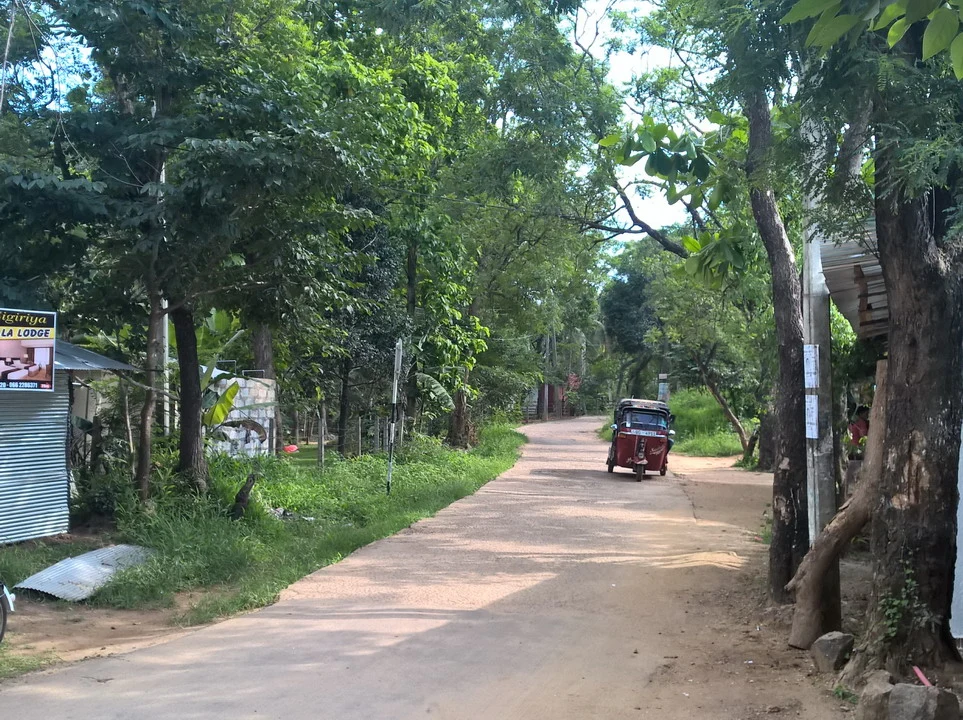 Un tuk-tuk travels down a tree-lined road in Sri Lanka.