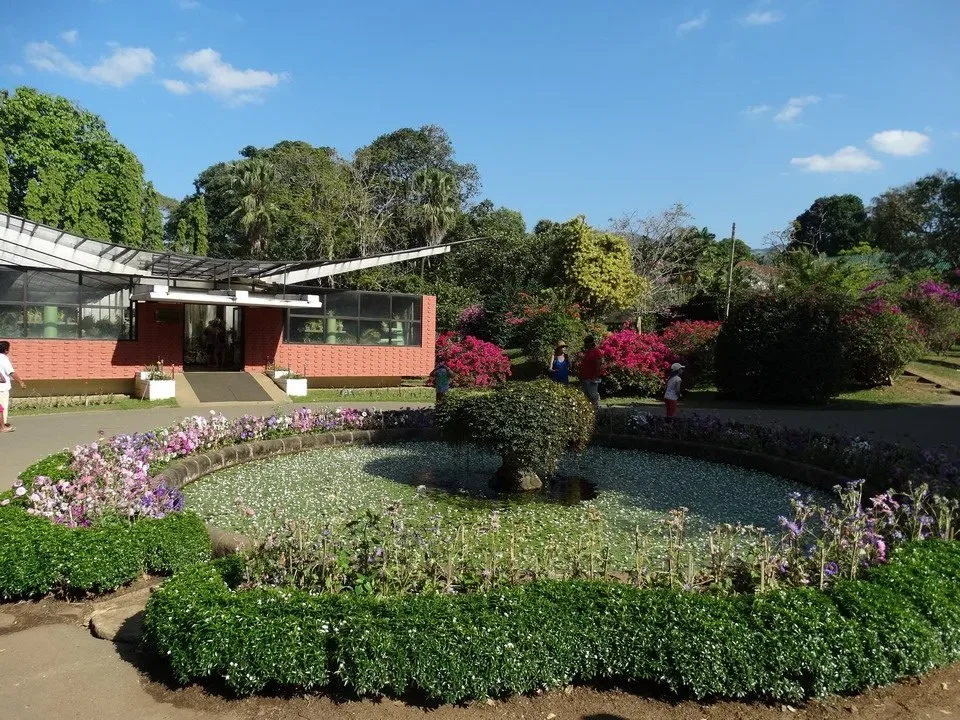 Giardino botanico di Peradeniya in Sri Lanka con ampi spazi verdi e aiuole fiorite.