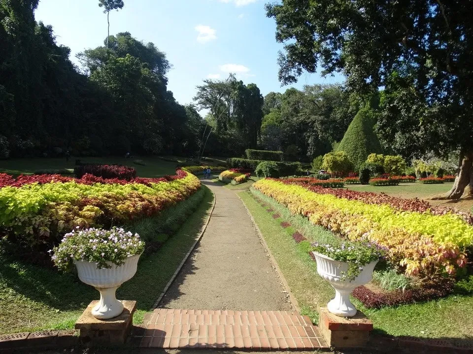 Giardino botanico di Peradeniya in Sri Lanka con sentieri curati e aiuole floreali.