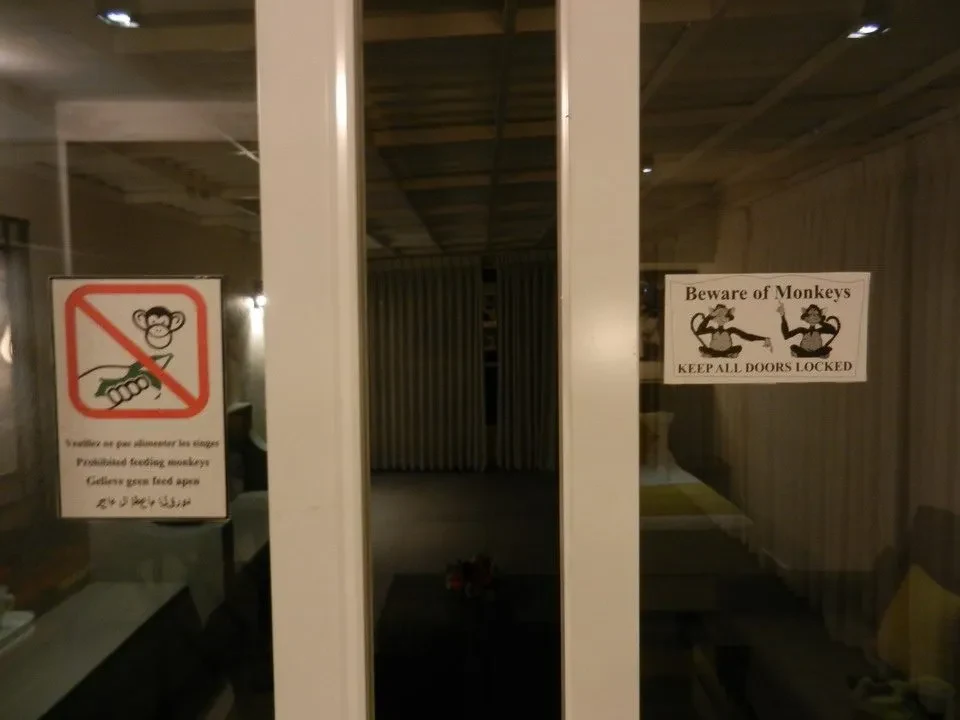 Interni di un hotel a Kandy con avvisi sui monchi.