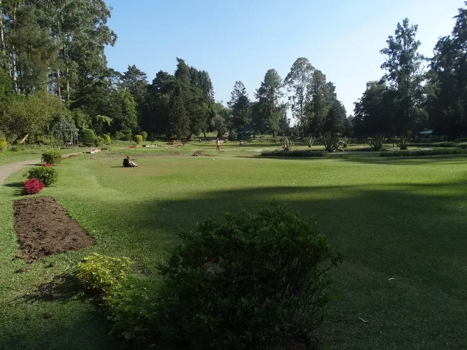 Vista soleggiata di un ampio parco verde con alberi in Sri Lanka.