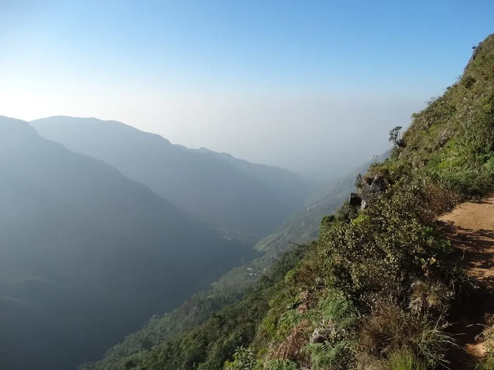 Vista panoramica nebbiosa delle montagne verdi dello Sri Lanka.