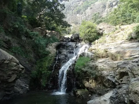 Yala N.P.