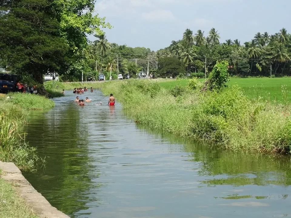 Bambini giocano in un fiume verde sotto alberi lussureggianti.