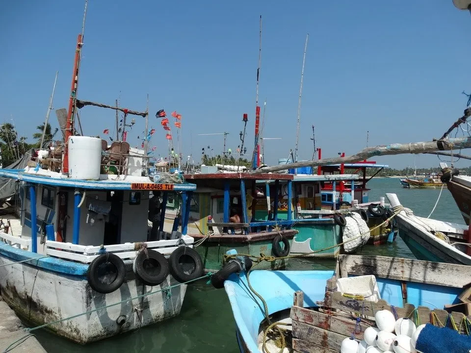 Barche ormeggiate in un porto di Sri Lanka sotto il sole.