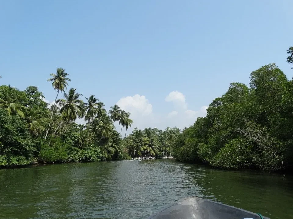 Una barca naviga su un fiume verde circondato da vegetazione lussureggiante in Sri Lanka.