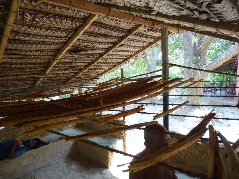 Una barca tradizionale naviga attraverso un safari sul fiume in Sri Lanka.