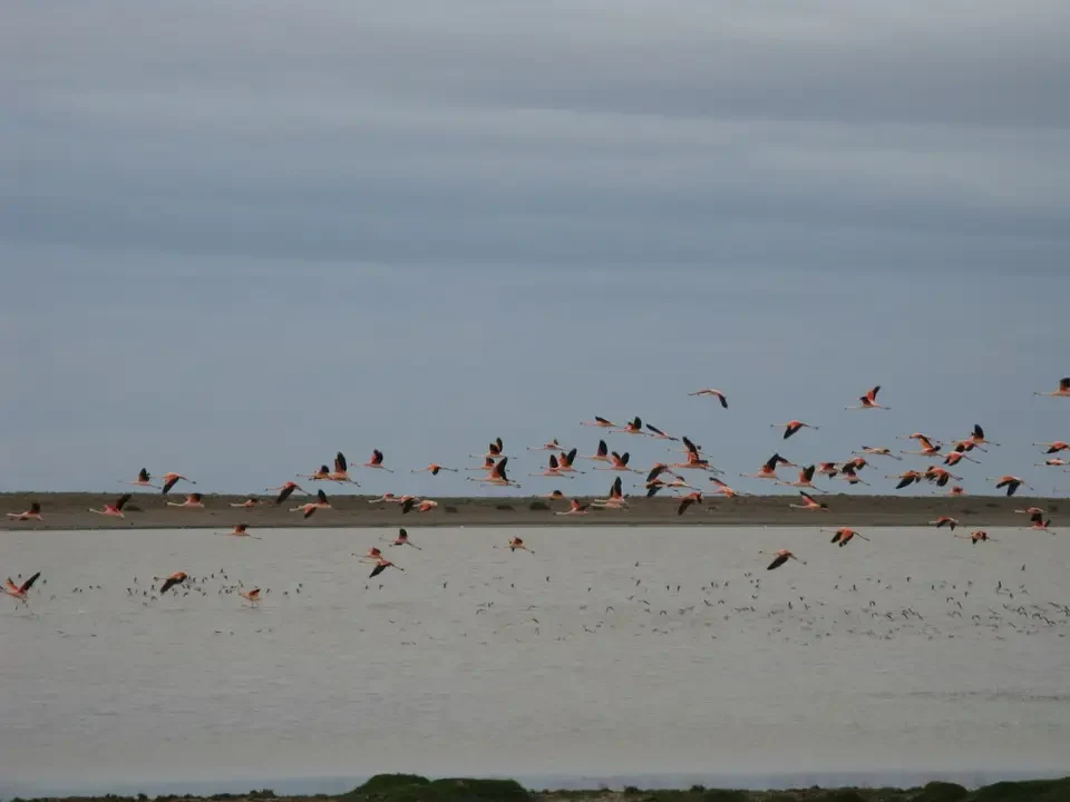 Puerto Natales