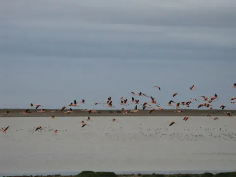 Puerto Natales
