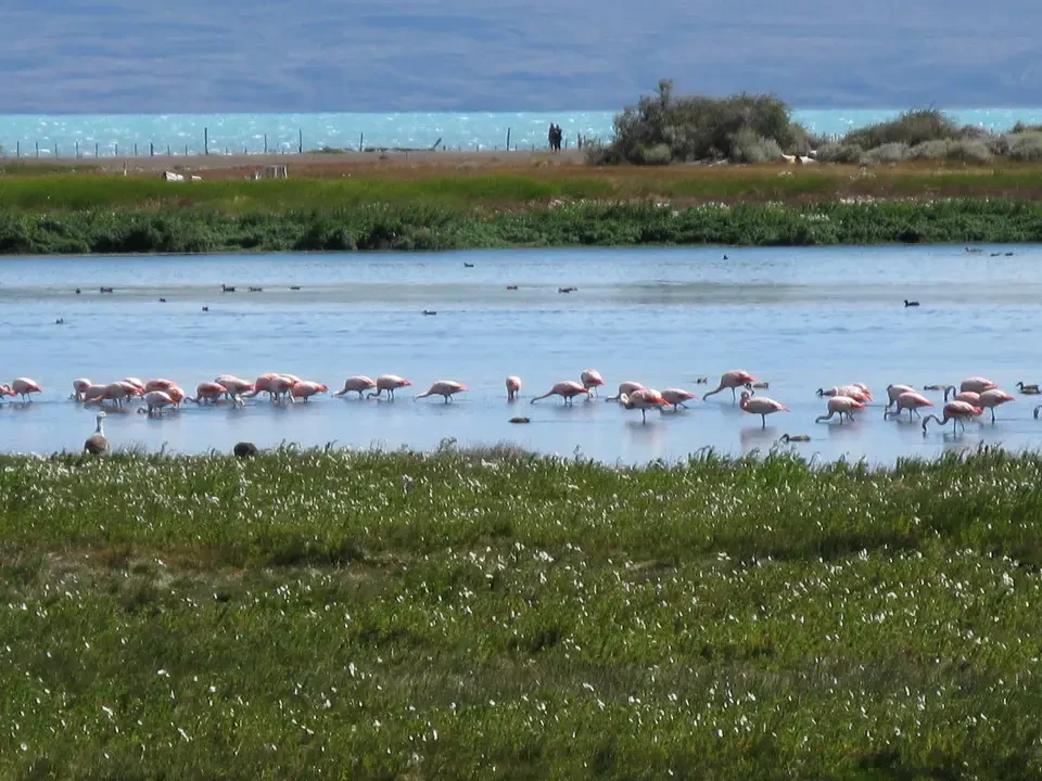 El Calafate