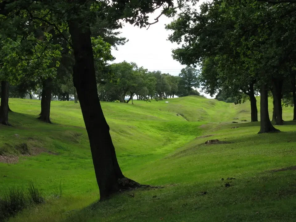 Un paesaggio verde e ondulato con alberi lungo un sentiero in Scozia.