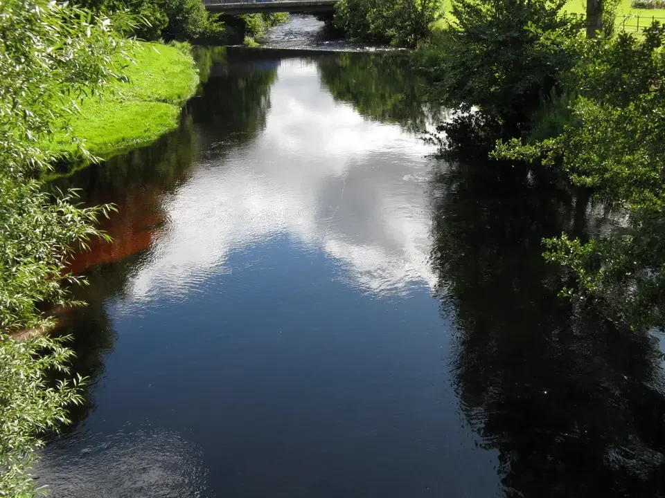 Un fiume serpeggia attraverso un paesaggio verde in Scozia.