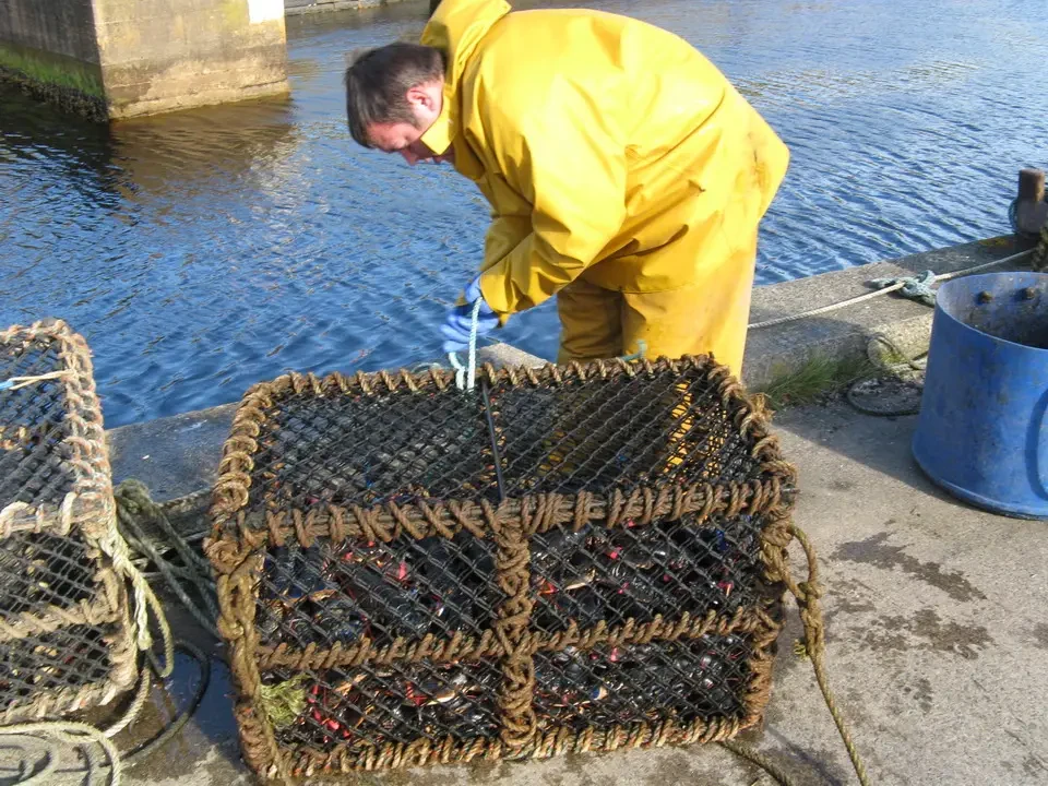 Un uomo lavora con reti di pesca in un fiume in Scozia.