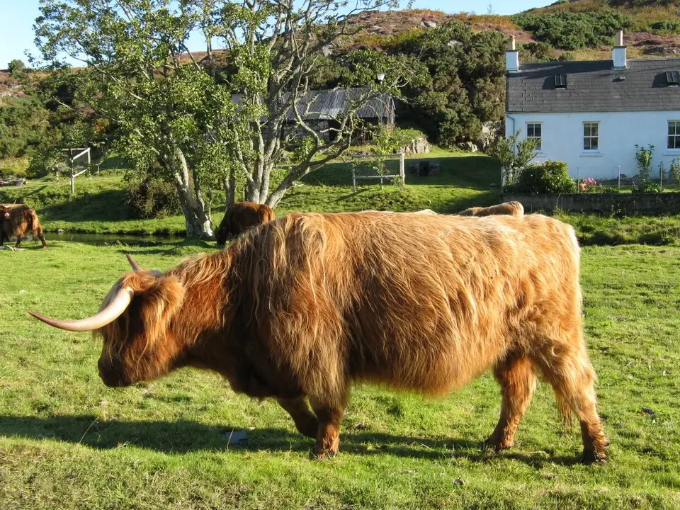 Skye Island